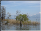 foto Lago di Garda
